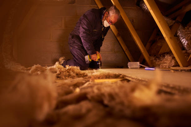 Best Geographic-Specific Insulation Services in Thorsby, AL